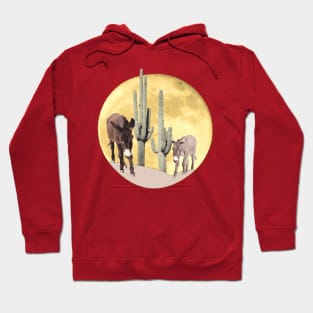 Donkey, design, wild burros, wildlife Hoodie